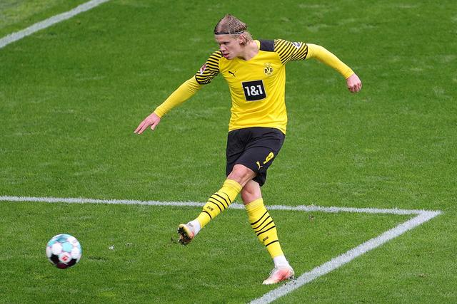 引着无数体 引着无数体